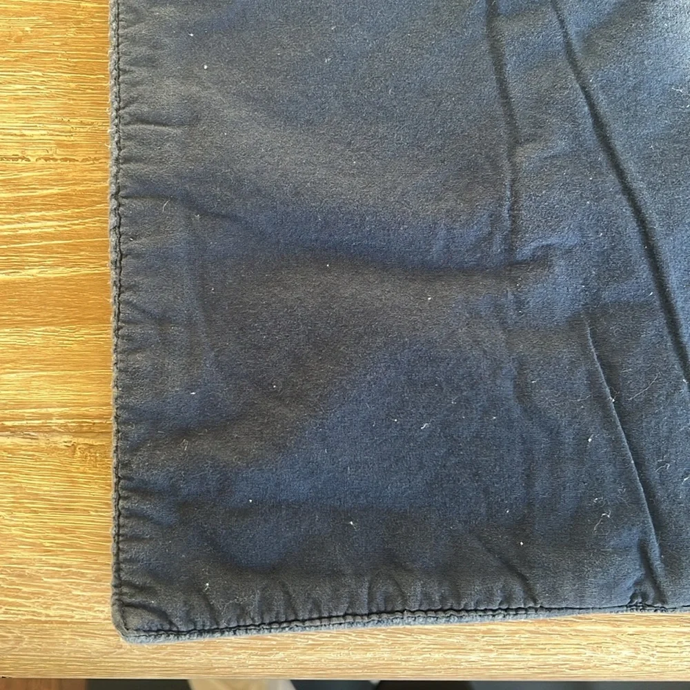 West Elm Set of Two Navy Placemats